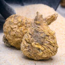 Maca Root