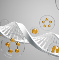 HYDROLYZED COLLAGEN PROTEIN