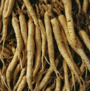 Panax Ginseng