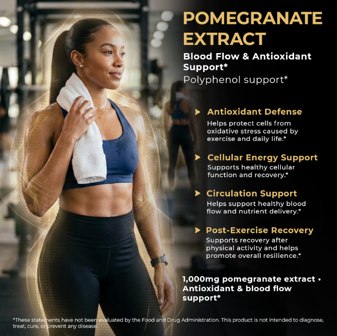 PEAK MSK Protein Recovery Powder